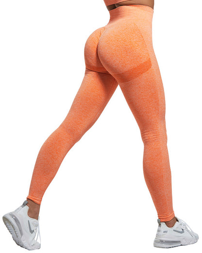 Women's Gym Exercise Fitness Tights-Elevate Your Active Style